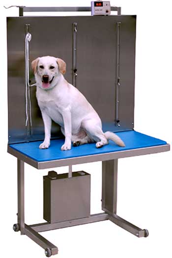 TECHNIDYNE ELSAM III FREE STANDING LIFT TABLE